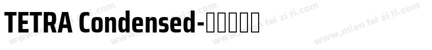 TETRA Condensed字体转换
